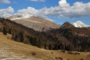 Monte VACCAREGGIO (1474 m) da Lavaggio di Dossena il 29 gennaio 2019 - FOTOGALLERY